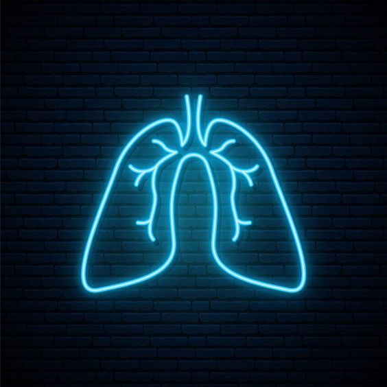 Pulmones